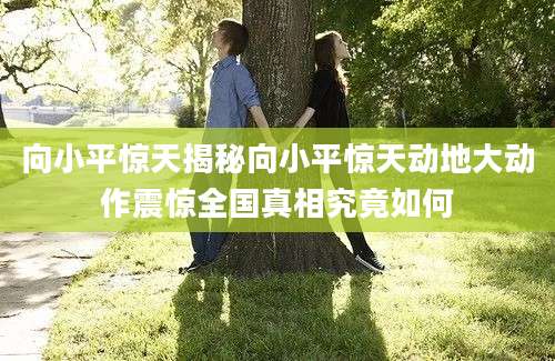 向小平惊天揭秘向小平惊天动地大动作震惊全国真相究竟如何