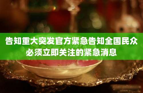 告知重大突发官方紧急告知全国民众必须立即关注的紧急消息