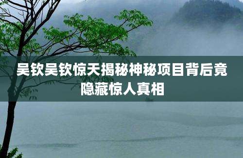 吴钦吴钦惊天揭秘神秘项目背后竟隐藏惊人真相