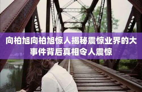 向柏旭向柏旭惊人揭秘震惊业界的大事件背后真相令人震惊