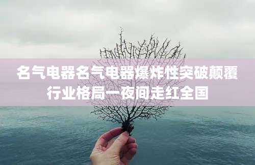 名气电器名气电器爆炸性突破颠覆行业格局一夜间走红全国
