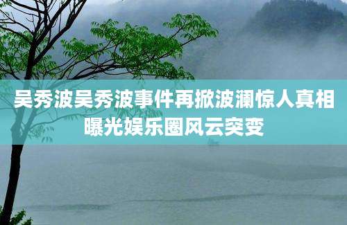 吴秀波吴秀波事件再掀波澜惊人真相曝光娱乐圈风云突变