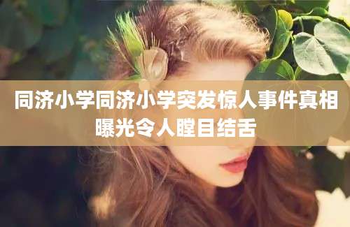 同济小学同济小学突发惊人事件真相曝光令人瞠目结舌