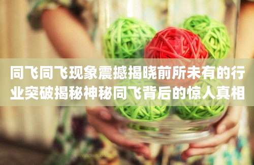 同飞同飞现象震撼揭晓前所未有的行业突破揭秘神秘同飞背后的惊人真相