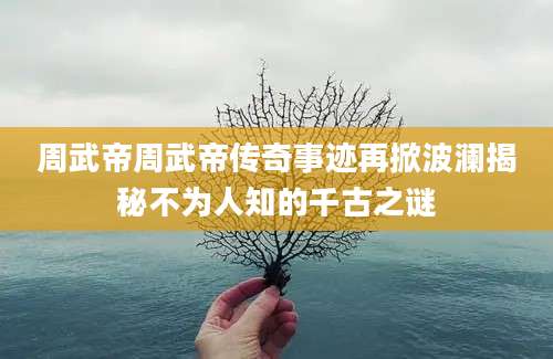周武帝周武帝传奇事迹再掀波澜揭秘不为人知的千古之谜