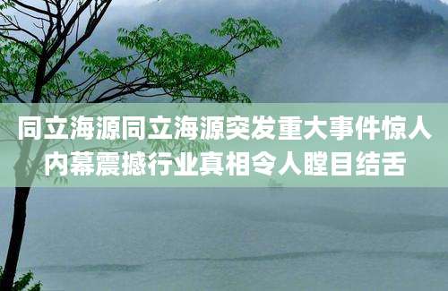 同立海源同立海源突发重大事件惊人内幕震撼行业真相令人瞠目结舌