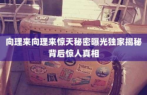 向理来向理来惊天秘密曝光独家揭秘背后惊人真相