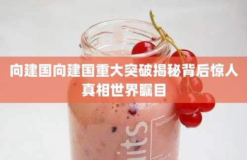 向建国向建国重大突破揭秘背后惊人真相世界瞩目